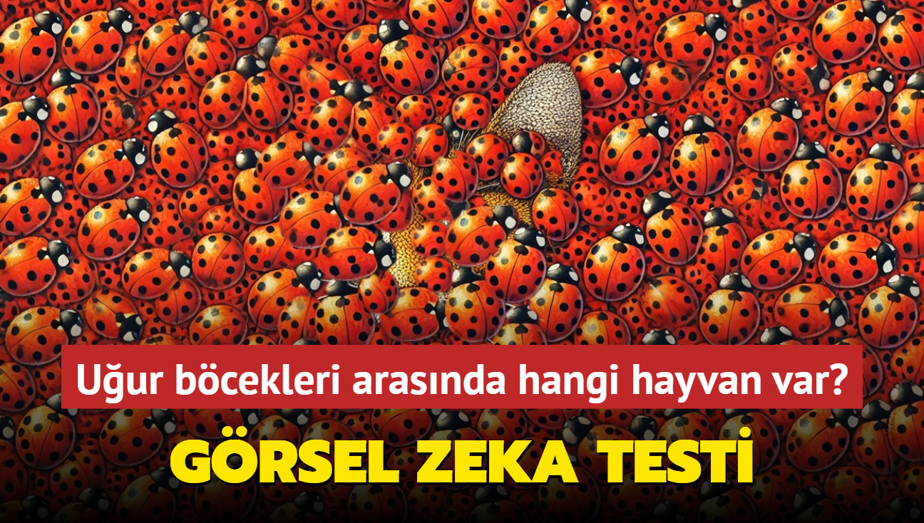 Grsel zeka testi: Uur bcekleri arasnda hangi hayvan var" 250 kii ayn cevab verdi