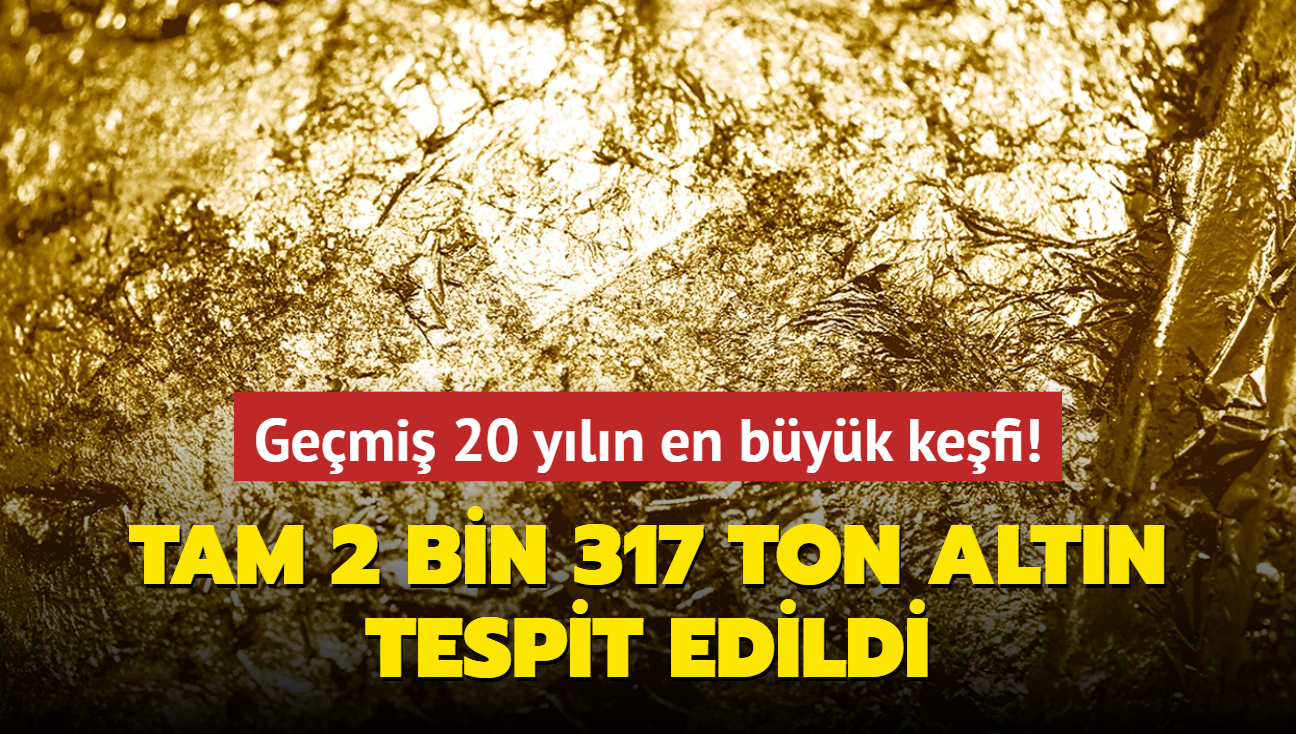 Gemi 20 yln en byk kefi: Tam 2 bin 317 ton altn tespit edildi