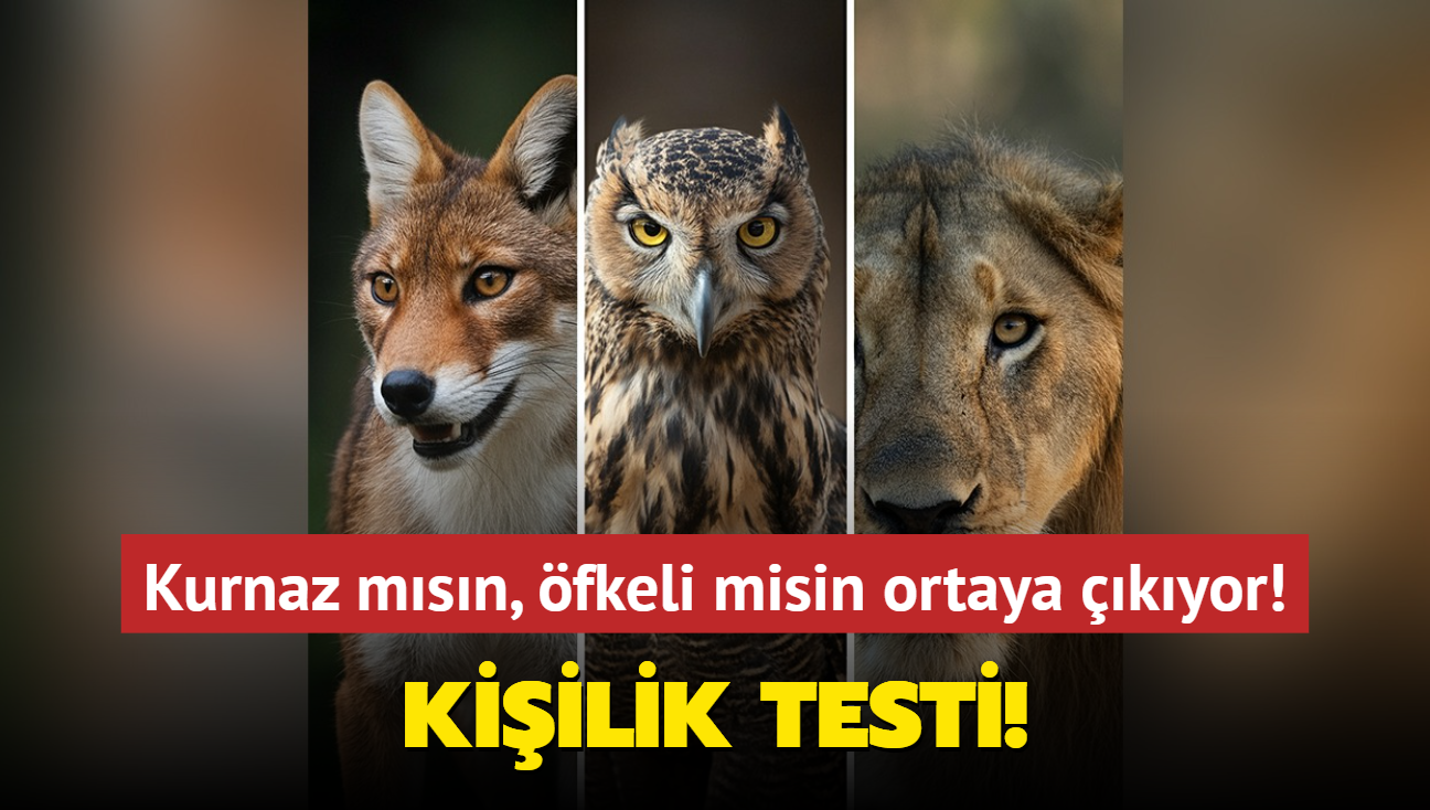 Kiilik testi! Kurnaz msn, fkeli misin ortaya kyor! Setiin hayvana gre nasl bir insansn"