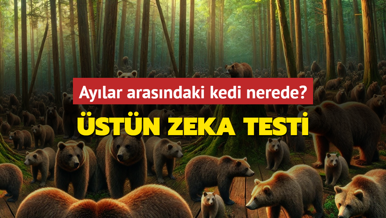 stn zeka testi: Aylar arasndaki kedi nerede" 107 kiiden sadece 13' grebildi