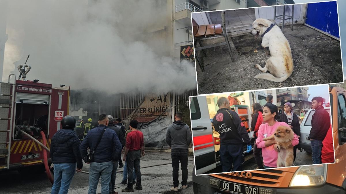 Aydn'da veteriner kliniinde yangn: 1'i ocuk 4 kii etkilendi