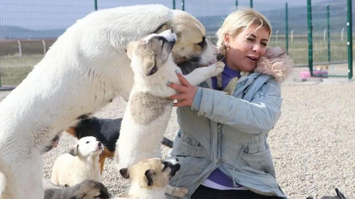 'Kpek Velisi' Buket zgnl ve dernek yetkilileri adliyeye sevk edildi
