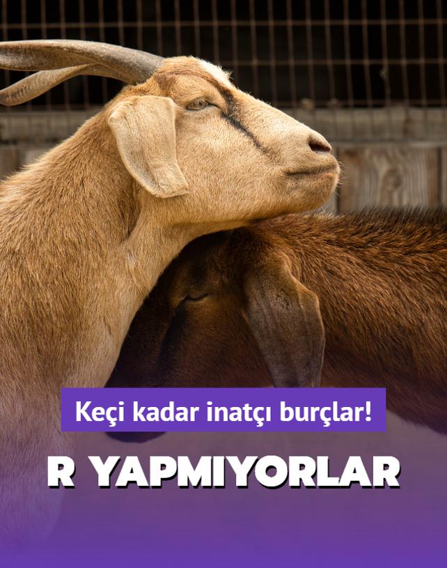 Kei kadar inat burlar! likide R yapmyorlar onlarda deve kini var