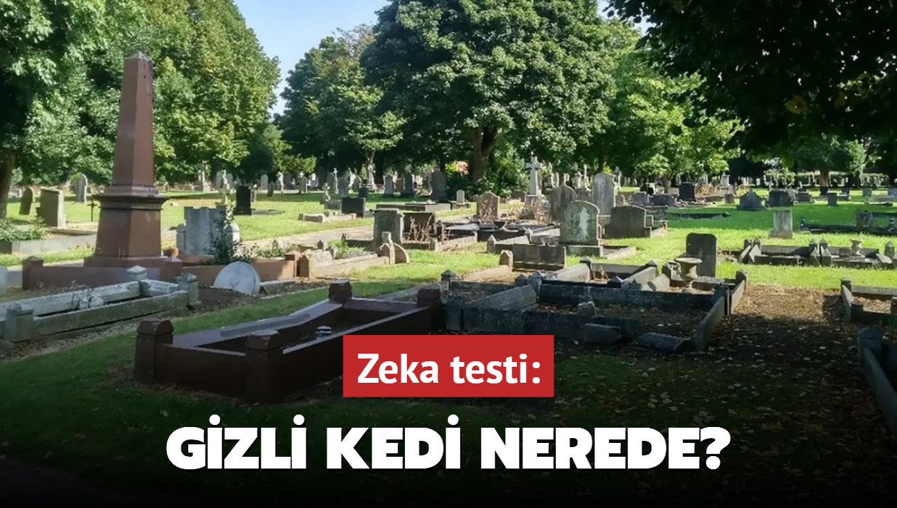 Optik llzyon: Mezarlktaki gizli kedi nerede" 45 kiiden sadece 2'si 8 saniyede buldu!