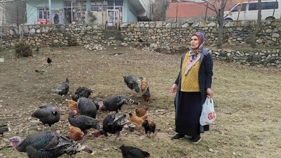 Hindi ve tavuklarna yem vermek istemiti... Manzaray grnce ne yapacan ard