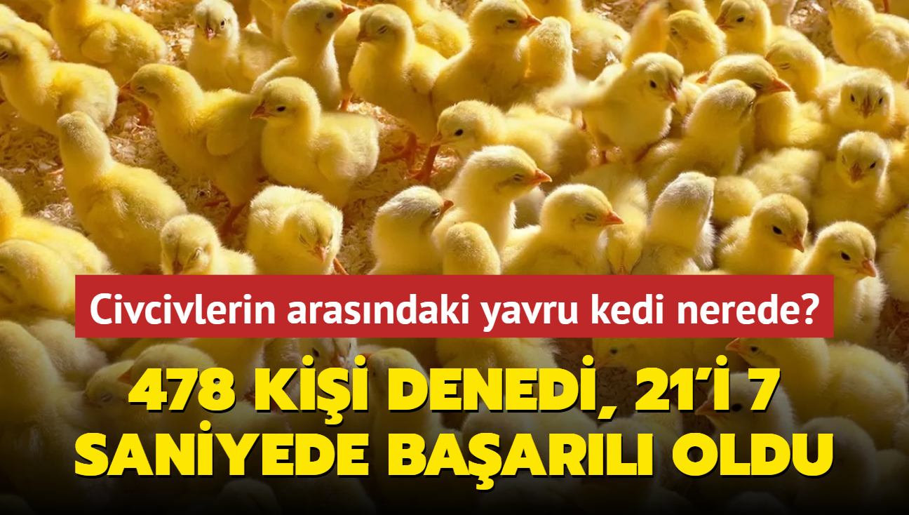 Zeka testi: Civcivlerin arasndaki yavru kedi nerede" 478 kii denedi, 21'i 7 saniyede baarl oldu