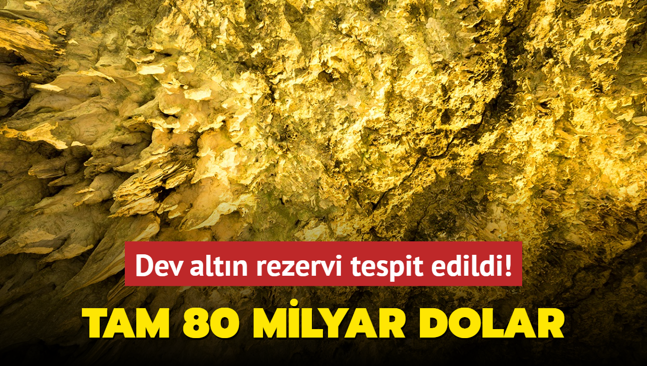 Dev altn rezervi tespit edildi! Deeri tam 80 milyar dolar