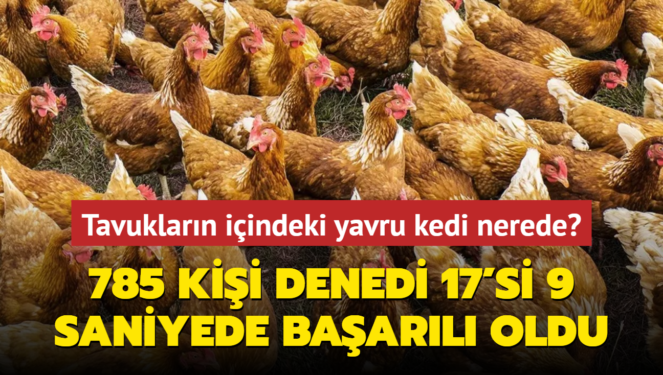 Zeka testi: Tavuklarn iindeki gizli yavru kedi nerede" 785 kiiden 17'si 9 saniyede baarl oldu