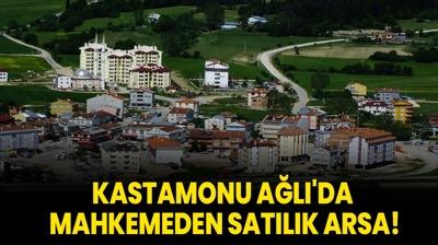 Kastamonu Al'da mahkemeden satlk arsa!