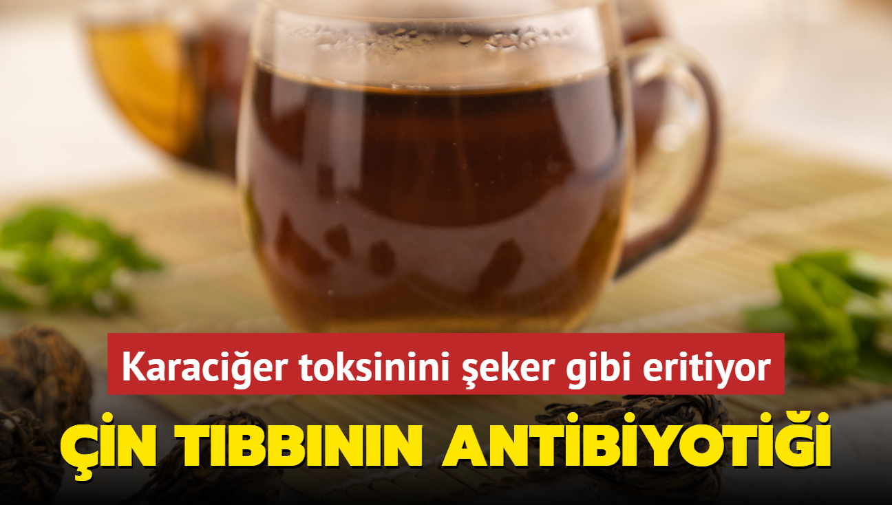 in tbbnn antibiyotik ay: Karacier toksinini eker gibi eritiyor! Kalbi kaya gibi glendiriyor