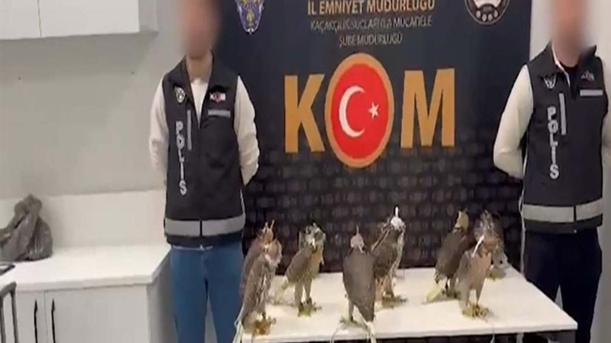Yurtdna karlmak istenen gkdoanlar stanbul Havaliman'nda ele geirildi