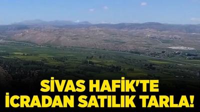 Sivas Hafik'te icradan satlk tarla!