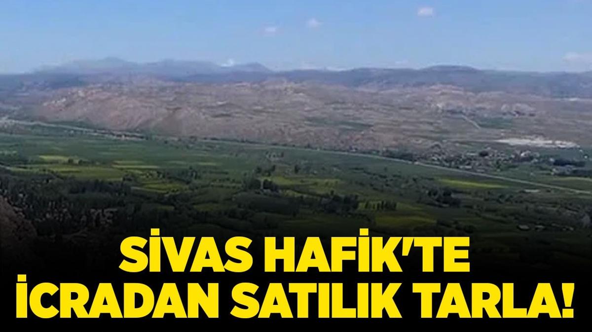 Sivas Hafik'te icradan satlk tarla!