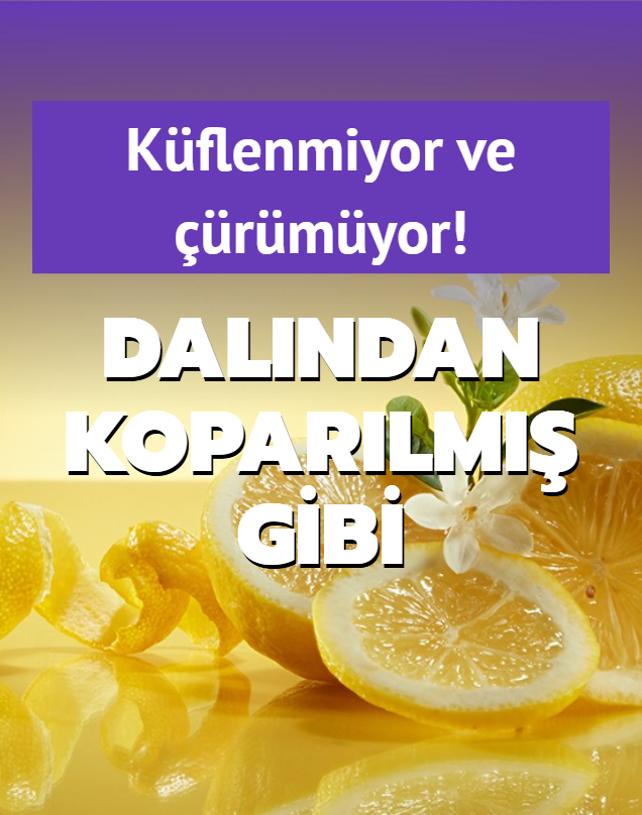 Limonlarn rmesine engel oluyor! Haftalarca limonlar ta gibi tutan yntem