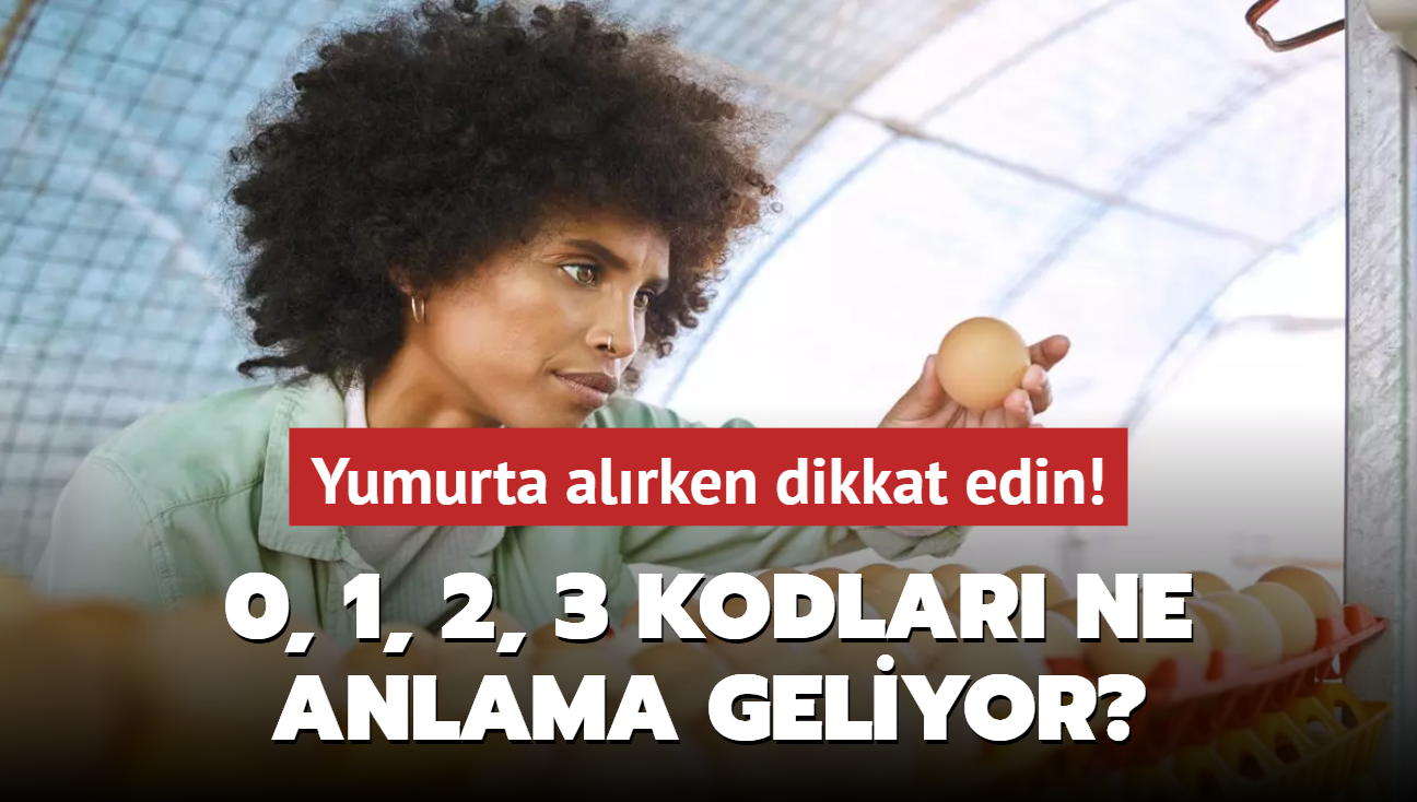 Yumurta alrken dikkat edilmesi gereken 4 nemli kod! 0, 1, 2, 3 ne anlama geliyor"