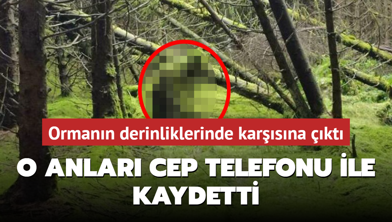 O anlar� cep telefonu ile kaydetti! Orman�n derinliklerinde kar��s�na ��kt�