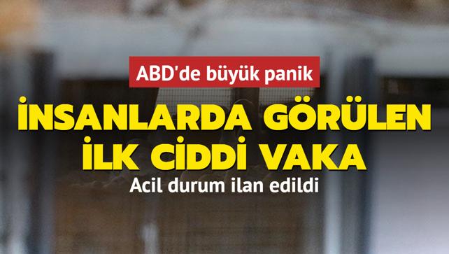 nsanlarda grlen ilk ciddi vaka... ABD'de byk panik: Acil durum ilan edildi