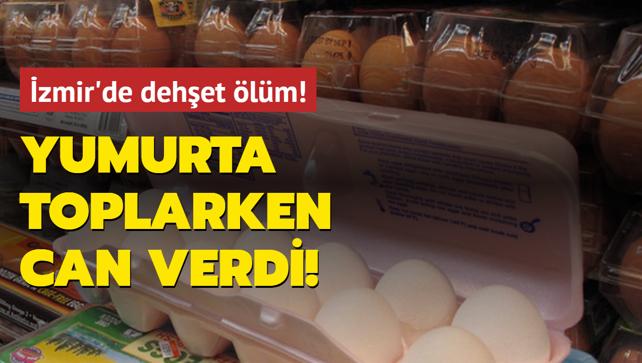 zmir'de dehet lm! Yumurta toplarken can verdi