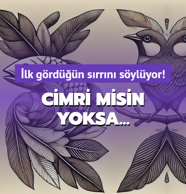 Optik ill�zyon testi: Resimde ilk g�rd���n gizli s�rr�n� s�yl�yor! Cimri misin yoksa�