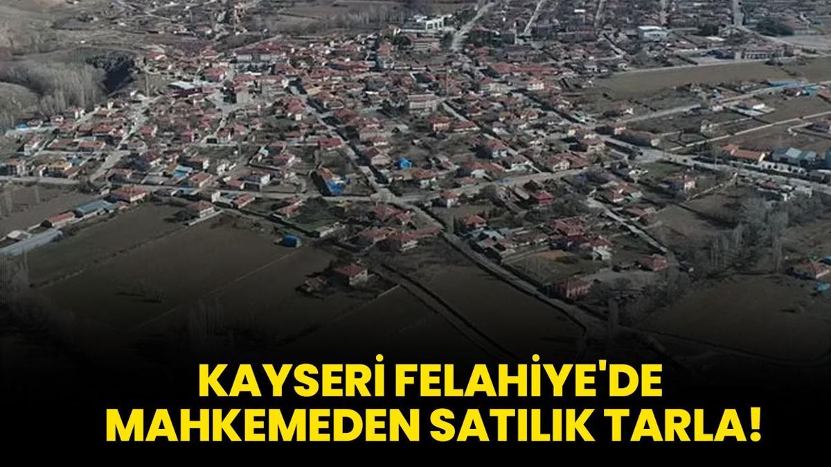 Kayseri Felahiye'de mahkemeden satlk tarla!