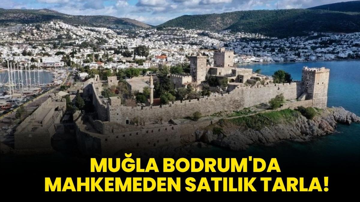 Mula Bodrum'da mahkemeden satlk tarla!