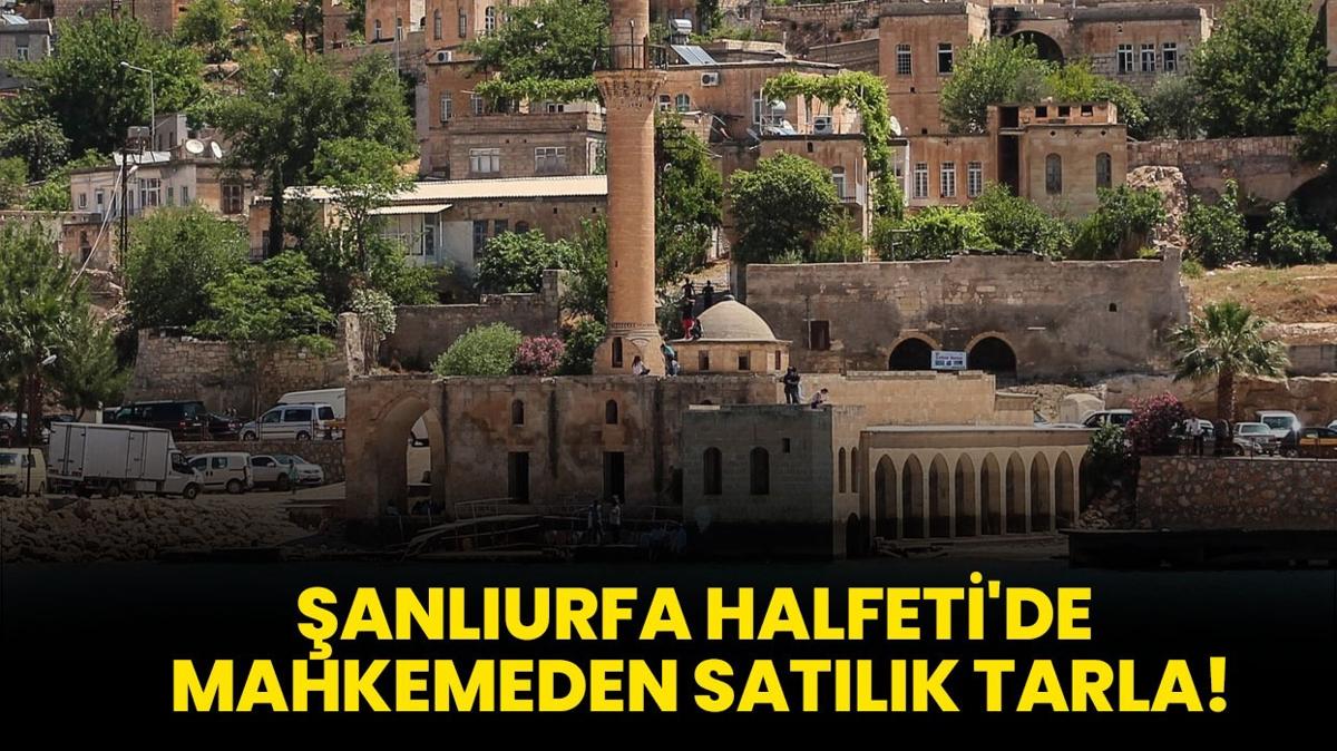 anlurfa Halfeti'de mahkemeden satlk tarla!