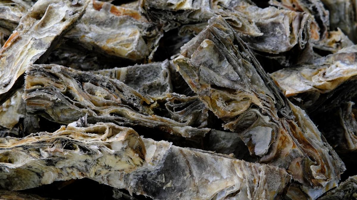 Omega-3 zengini! Kaslar demir gibi yapyor, sakn pe atmayn