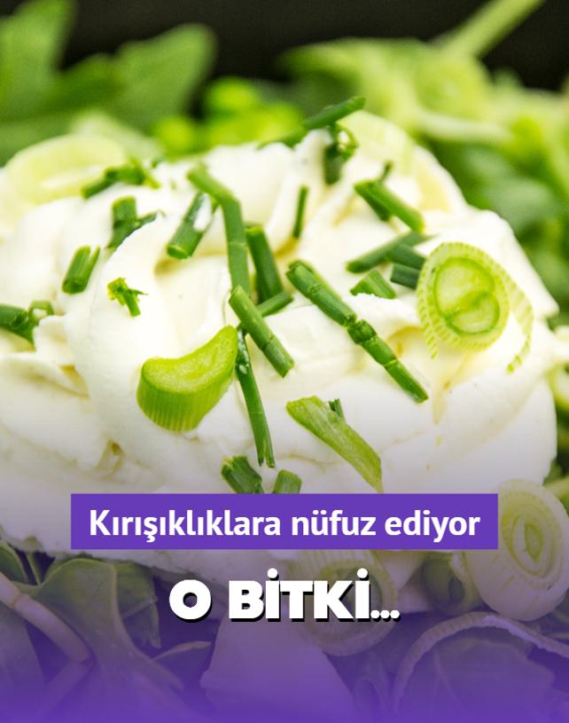 Suyun tm mineralini emen bitki! Vitamin bombas krklklara nfuz ediyor