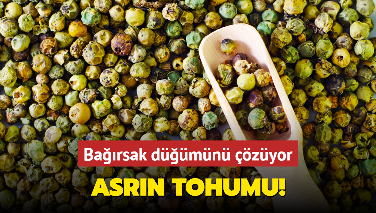 Asrn tohumu! Barsak dmn zyor: la gibi suya katn iin