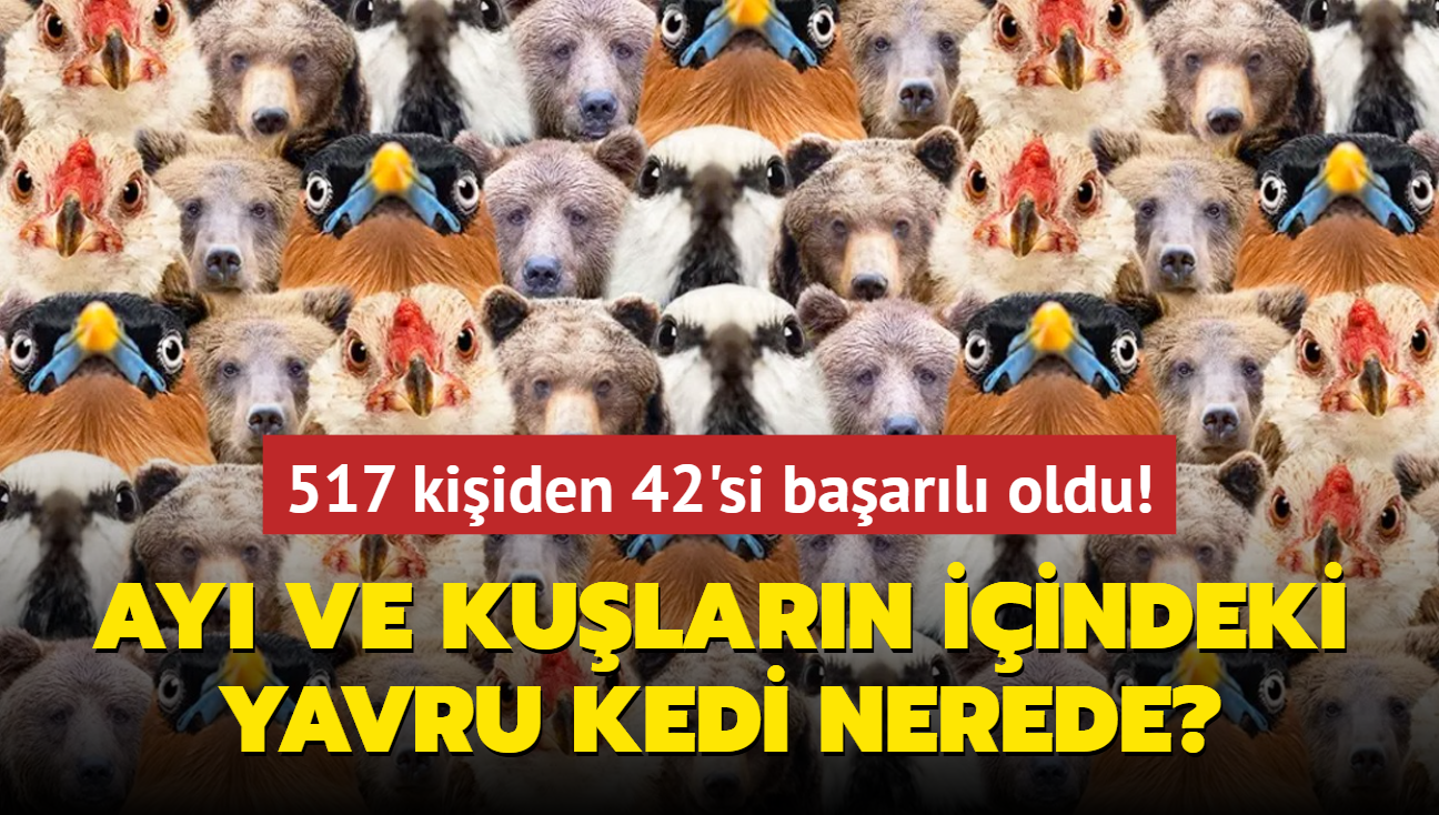 Zeka testi: Ay ve kularn arasndaki yavru kedi nerede" 517 kiiden 42'si baarl oldu