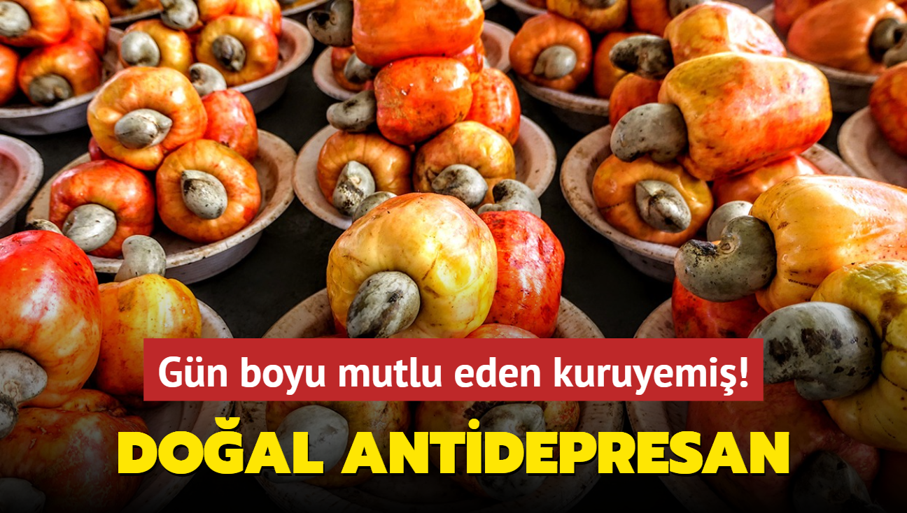 1 avu yiyin gn boyu glmseyin! Bu kuruyemite doal antidepresan gizli