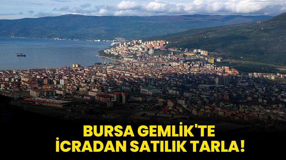 Bursa Gemlik'te icradan satlk tarla!