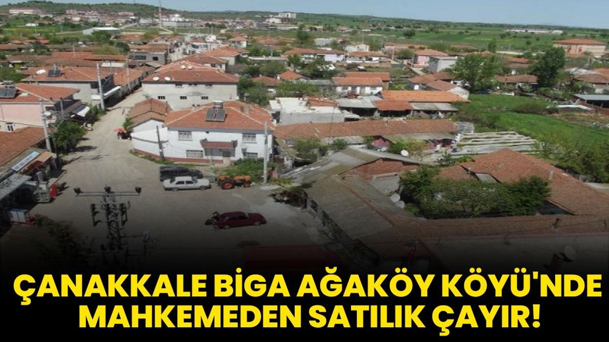 anakkale Biga Aaky Ky'nde mahkemeden satlk ayr!