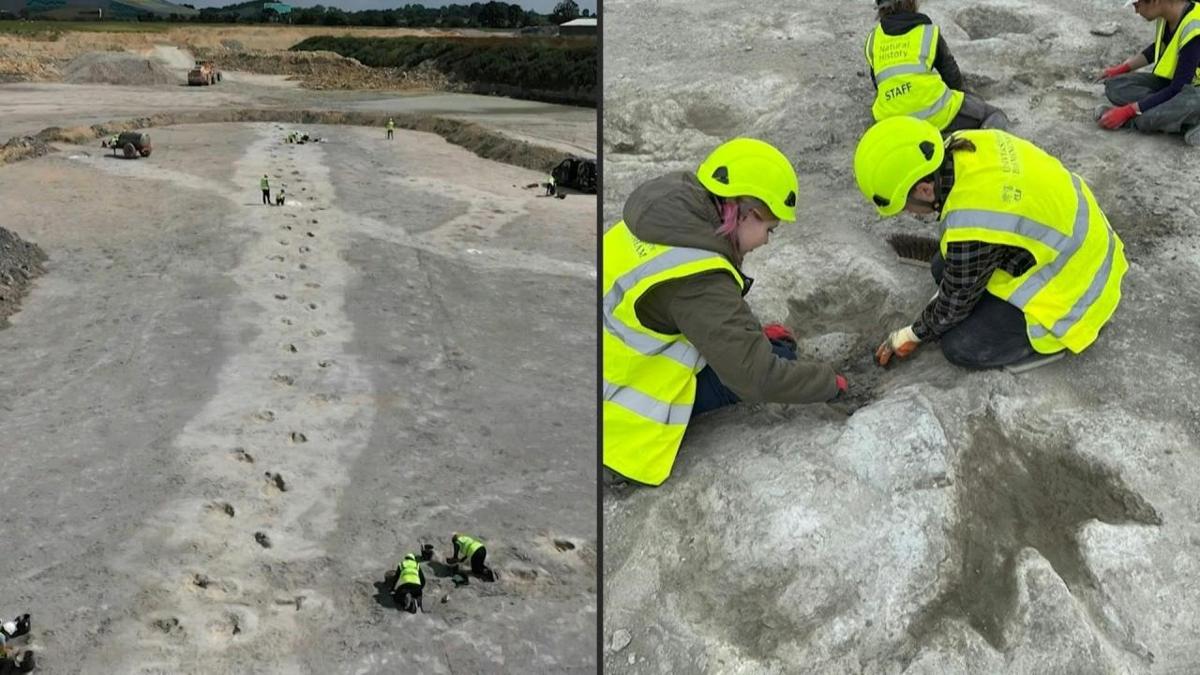 ngiltere'de 166 milyon yllk dinozor ayak izleri kefedildi