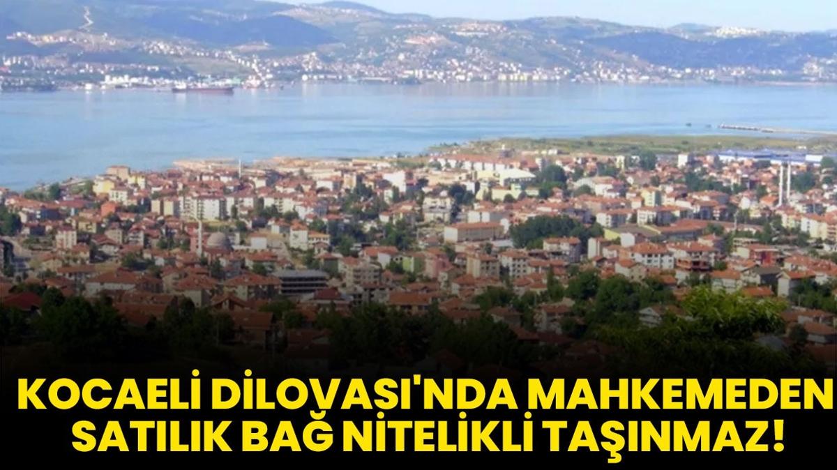 Kocaeli Dilovas'nda mahkemeden satlk ba nitelikli tanmaz!