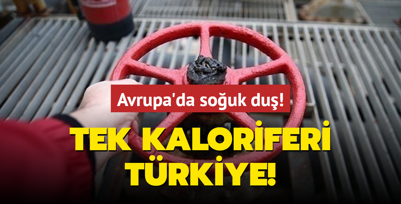 Avrupa'da souk du: Tek kaloriferi Trkiye!