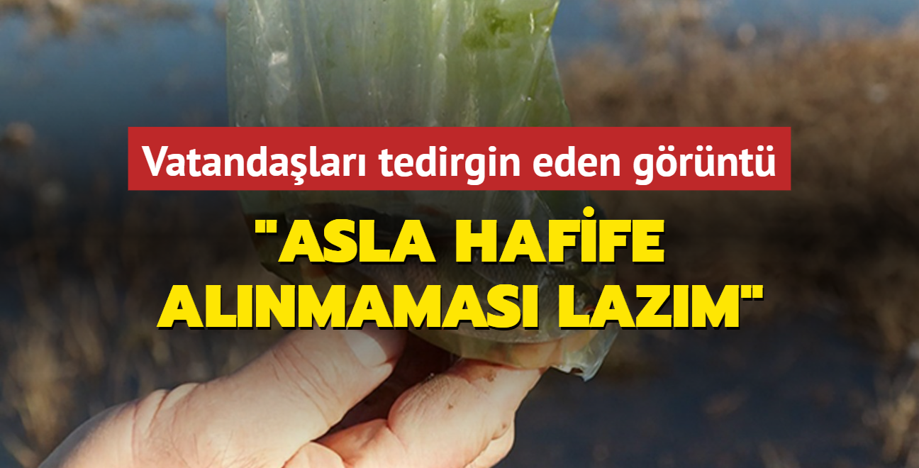 Eypsultan'da vatandalar tedirgin eden grnt: Asla hafife alnmamas lazm