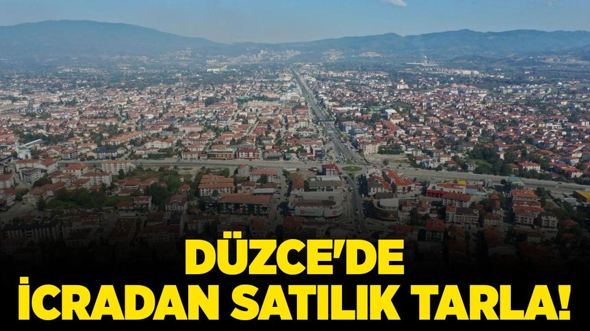 Dzce'de icradan satlk tarla!