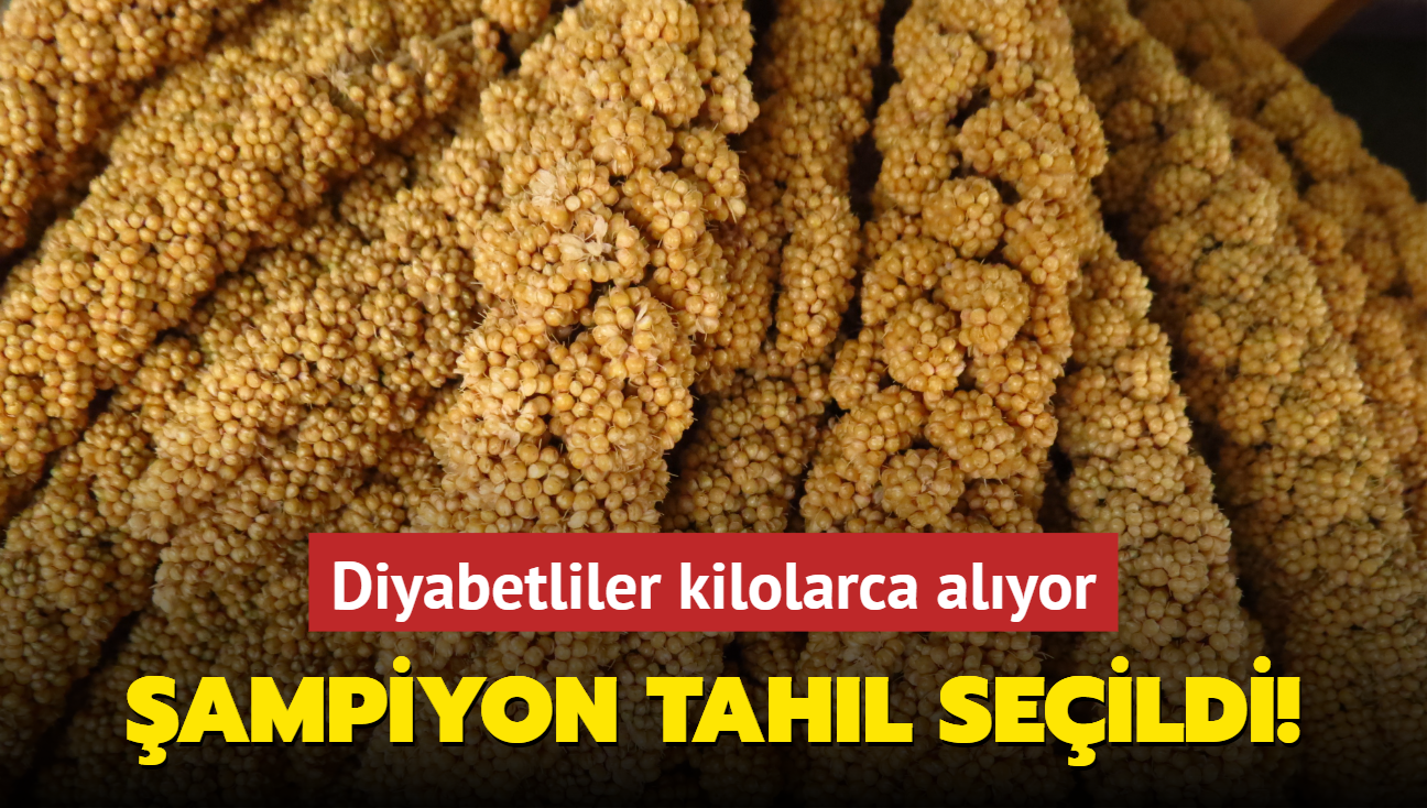 ampiyon tahl seildi! Diyabetliler kilolarca alyor, eker sabit mide tok