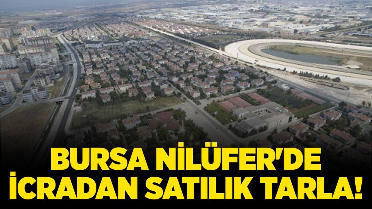 Bursa Nilfer'de icradan satlk tarla!