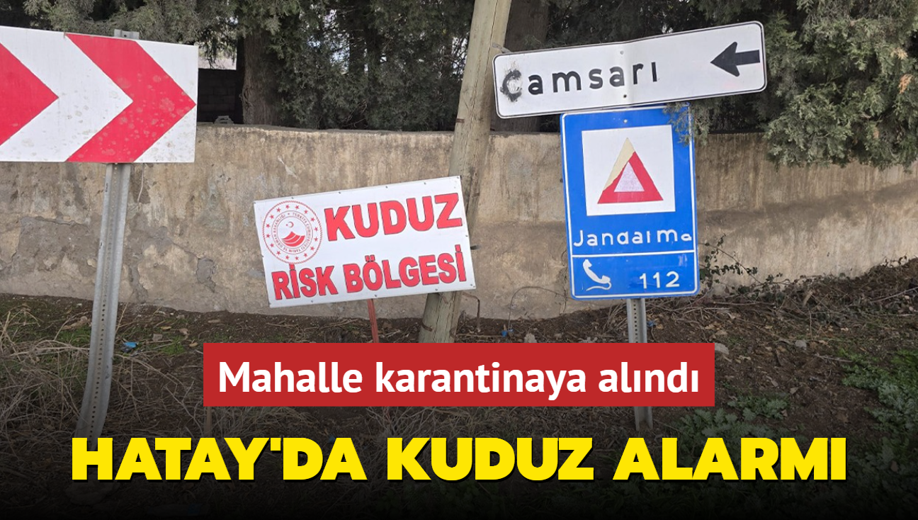 Hatay'da Kuduz alarm: Mahalle karantinaya alnd