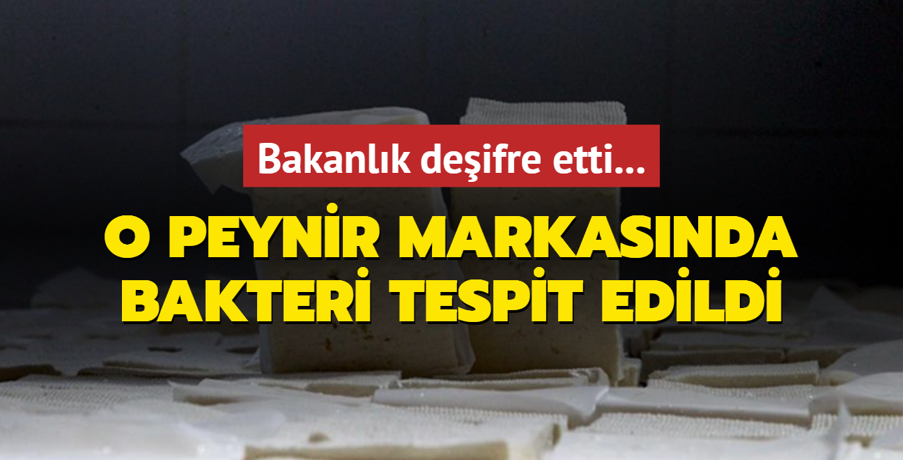 Bakanlk deifre etti... O peynir markasnda bakteri tespit edildi