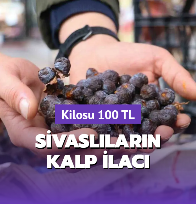 Bu meyvenin olgunu deil rm deerli! Sivas'ta kalp ve cilt hastalklarnn ilac, kilosu 100 TL