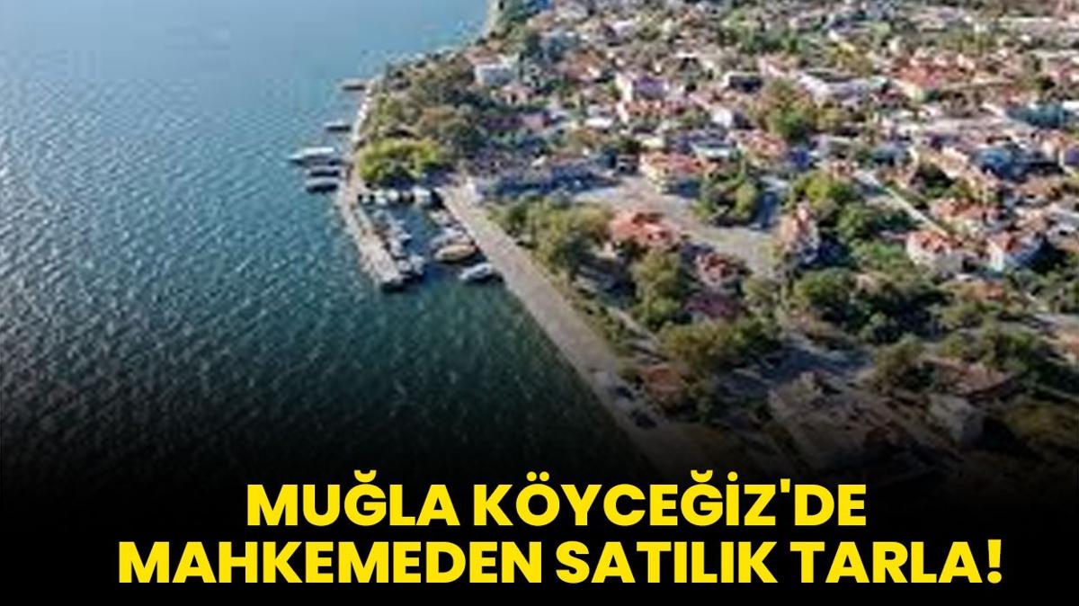 Mula Kyceiz'de mahkemeden satlk tarla!