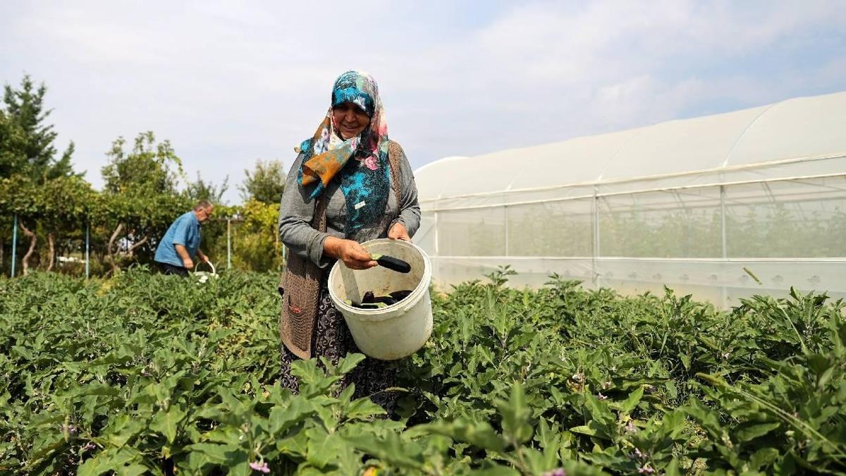 TARSM'den iftilerin maliyetine destek