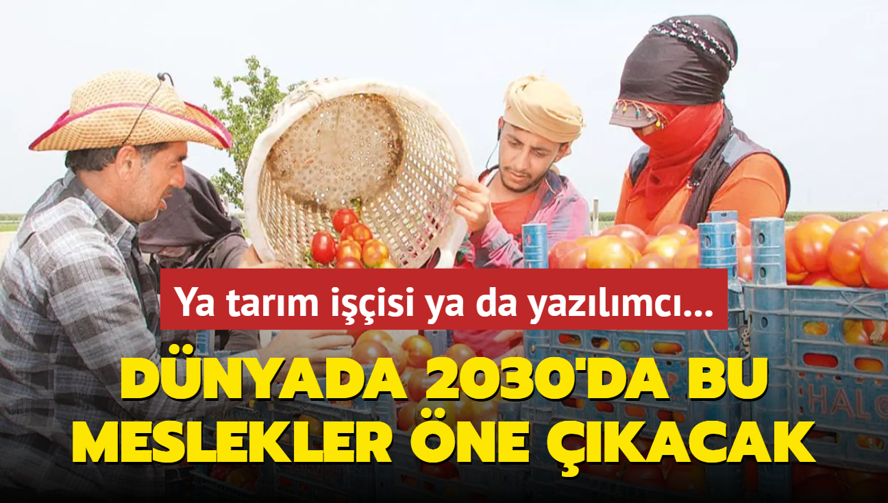 Ya tarm iisi, ya da yazlmc... Dnyada 2030'da bu meslekler ne kacak