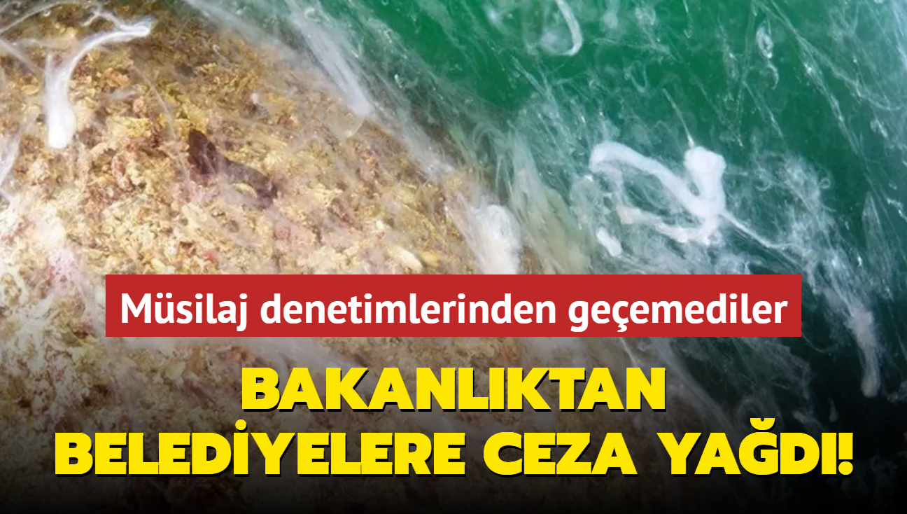 Bakanlktan belediyelere ceza yad! Msilaj denetimlerinden geemediler