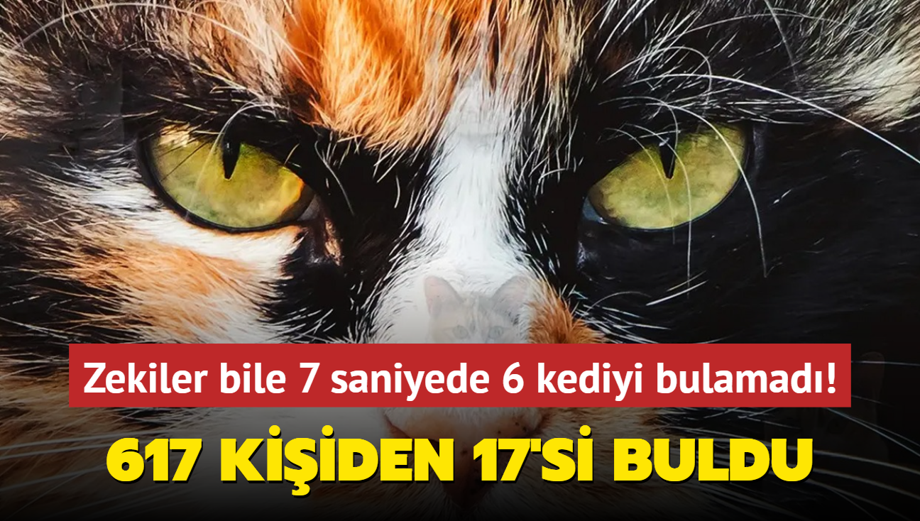 Sper zeka testi: 617 kiiden 17'si baarl oldu! Zekiler bile 7 saniyede 6 kediyi bulamad