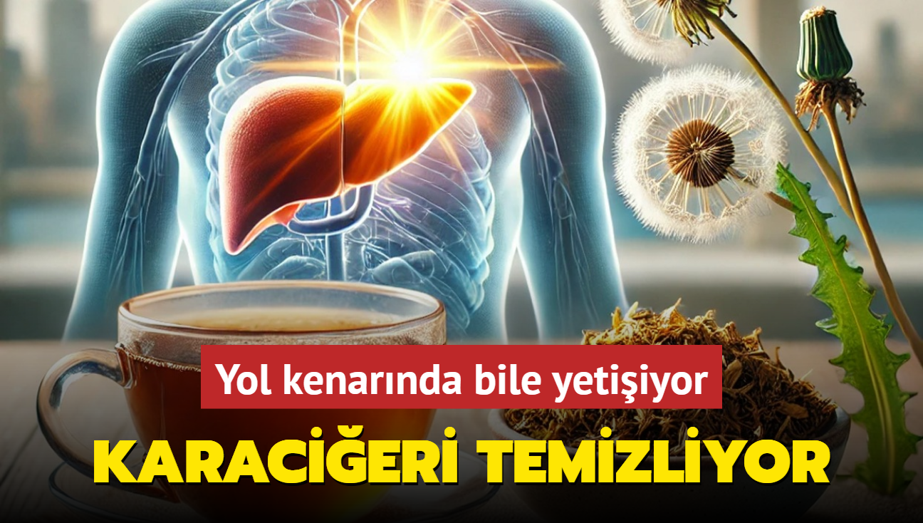 Yol kenarnda yetien karacier ilac! Vcutta bbrek ta brakmyor