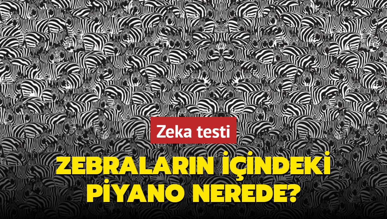 Zeka testi: Zebralarn iindeki piyano nerede" 1571 kii denedi 52'si 10 saniyede baarl oldu...